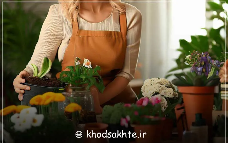 پرورش و فروش گل و گیاه در خانه