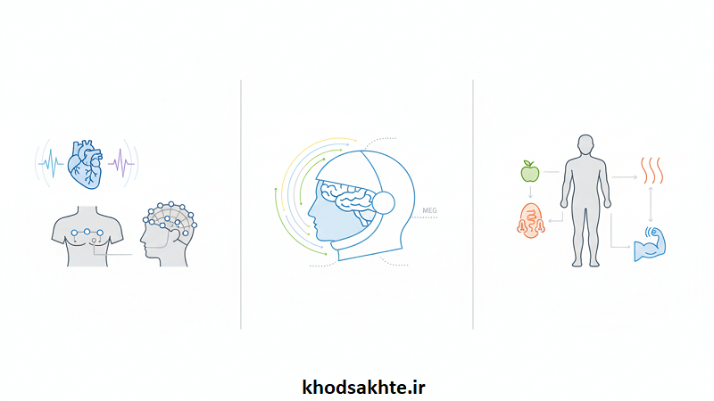 رویکردهای علمی به انرژی بدن