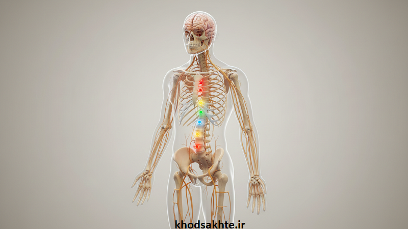 رابطه چاکرا با سیستم عصبی
